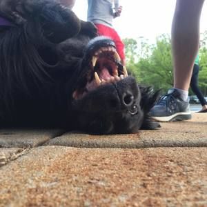 Meet your Posher, Samantha